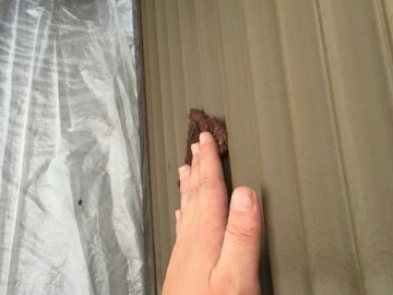 その他塗装工事