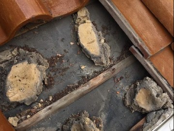 雨漏り修理工事