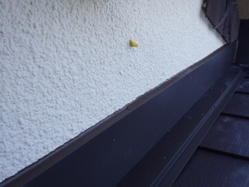 屋根葺き替え工事