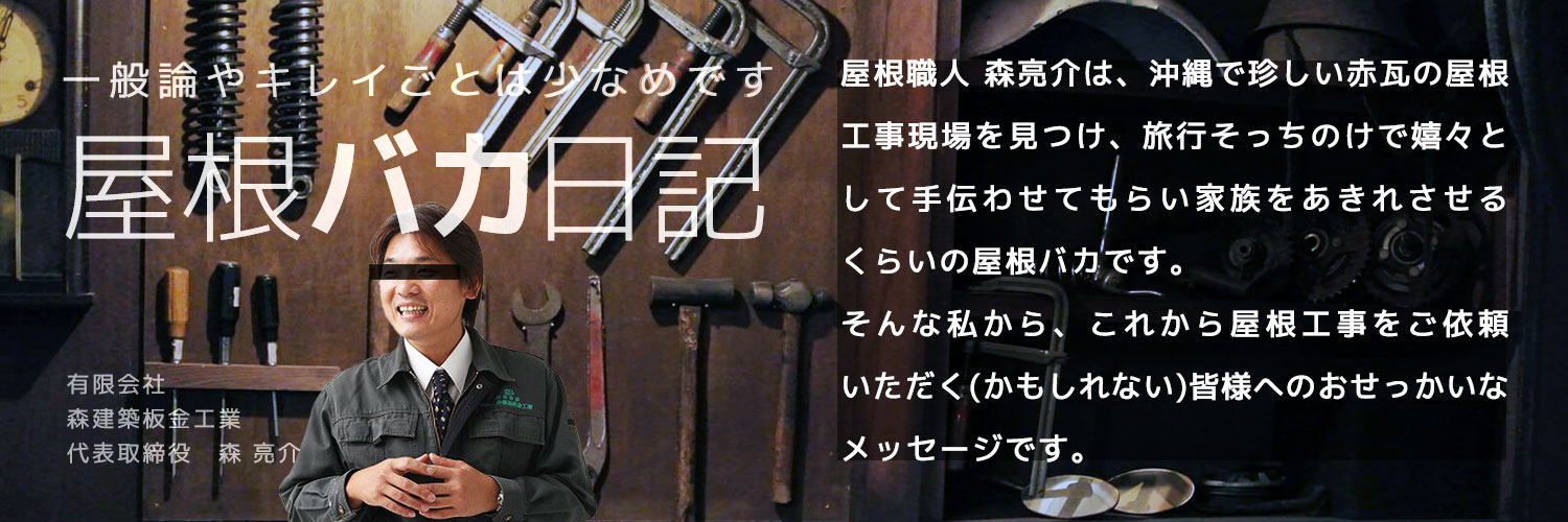 一般論やキレイごとは少なめです「屋根バカ日記」